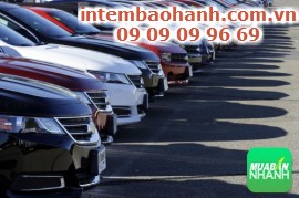 Chọn mua xe hơi ô tô