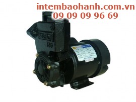 Máy bơm nước 2 đầu - Điện Lạnh Thành Danh