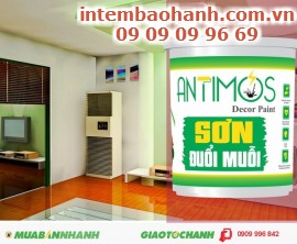 Trừ muỗi trong nhà với sơn Antimos